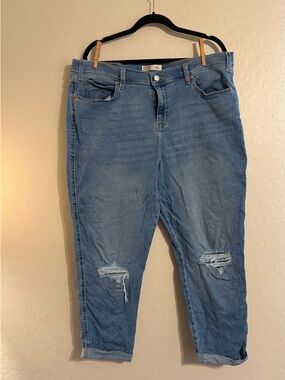 Signature by Levi Strauss Light Blue Boyfriend Jeans with Knee Rips